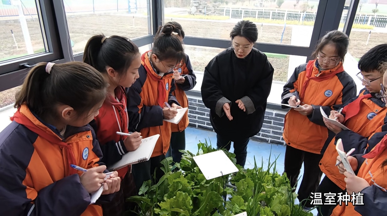 躬耕學農事，實踐覓真知—— 江蘇省徐州市徐莊實驗小學關工委開展“耕創課堂”教育活動