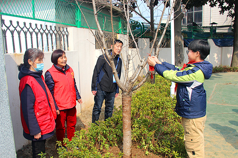 玄武湖街道關工委聯合組織開展“老少添綠植希望，攜手同行向未來”植樹節主題活動(5).jpg